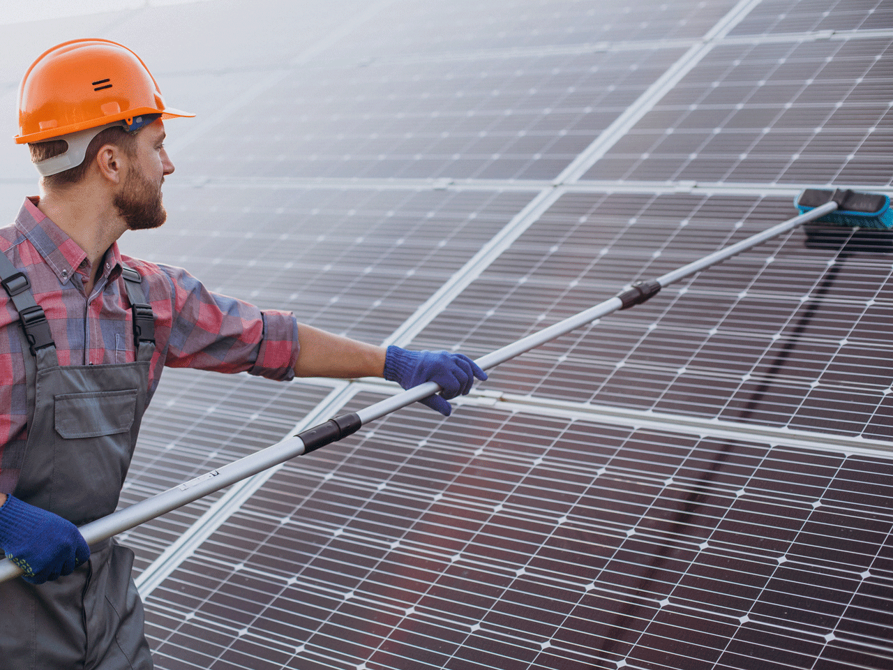 solar panel cleaning service